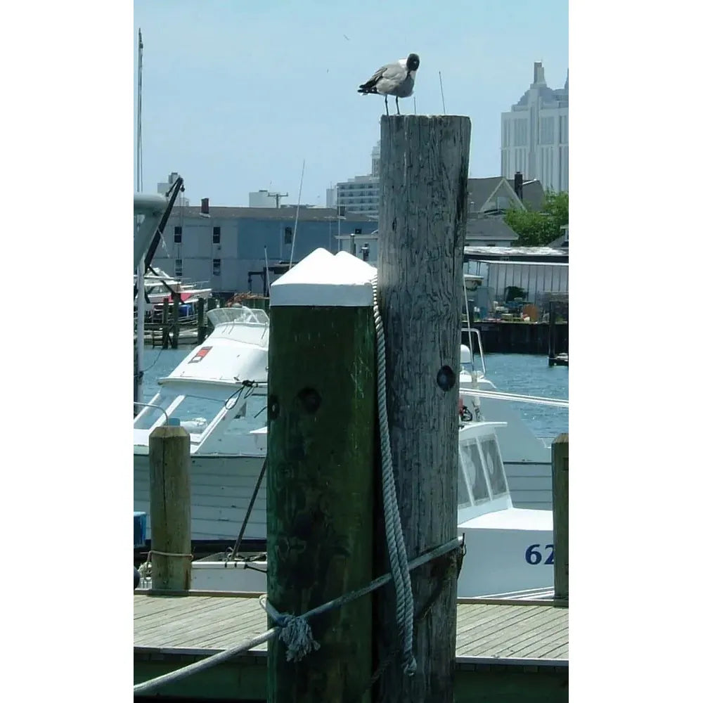 Taylor Made Not Qualified for Free Shipping Taylor Made 11" Diameter Piling Cap White #6204