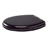 Thetford Qualifies for Free Shipping Thetford 38132 Black Toilet Seat & Cover with Chrome Hinges #T-278N
