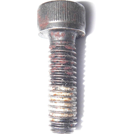 Velvet Drive Transmissions Qualifies for Free Shipping Velvet Drive Transmissions Bolt #2000183002