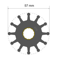 Albin Pump Marine Qualifies for Free Shipping Albin Pump Premium Impeller Kit 06-01-012 57x16x31.5mm #06-01-012
