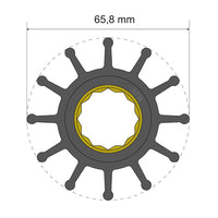 Albin Pump Marine Not Qualified for Free Shipping Albin Pump Premium Impeller Kit 06-01-020 65.8x25x80mm #06-01-020
