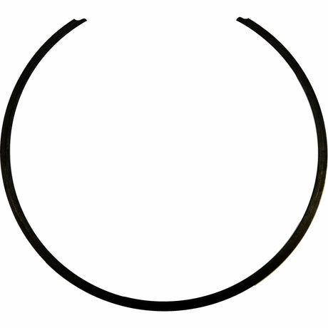 Alto Products Qualifies for Free Shipping Alto Products Snap Ring #023258
