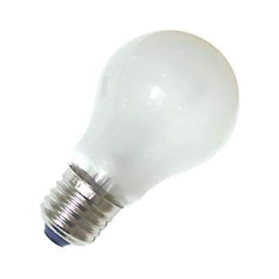 Ancor Qualifies for Free Shipping Ancor 100w Bulb 2-pk #531100