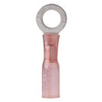 Ancor Qualifies for Free Shipping Ancor 22-18 #10 Heat Shrink Terminal #310325