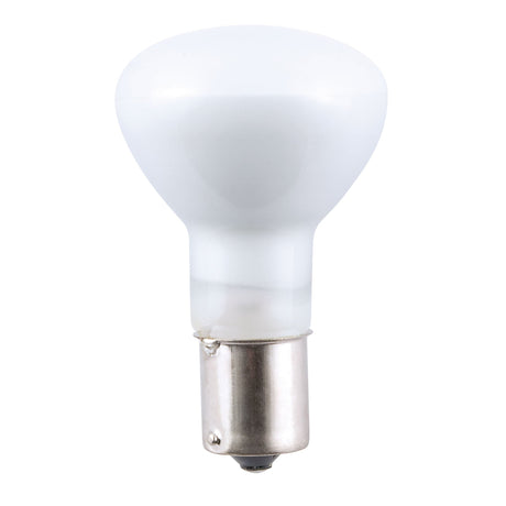 AP Products Qualifies for Free Shipping AP Products Bulb #1383 #016-01-1383