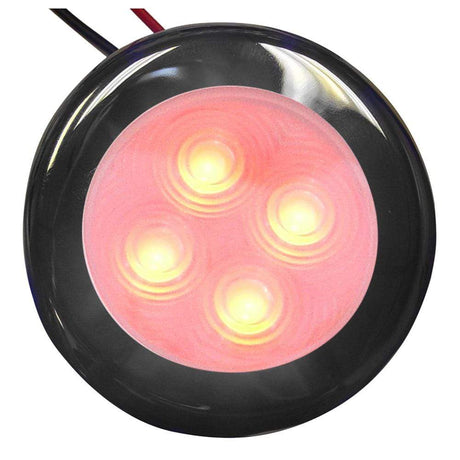 Aqua Signal Qualifies for Free Shipping Aqua Signal LED Round Courtesy SS Cover #16407-7