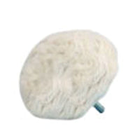 Biokleen Polish Ball #A39300