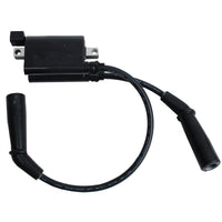 BRP Qualifies for Free Shipping BRP Coil Ignition Assembly #5030798