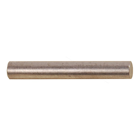 BRP Qualifies for Free Shipping BRP Drive Pin #203663