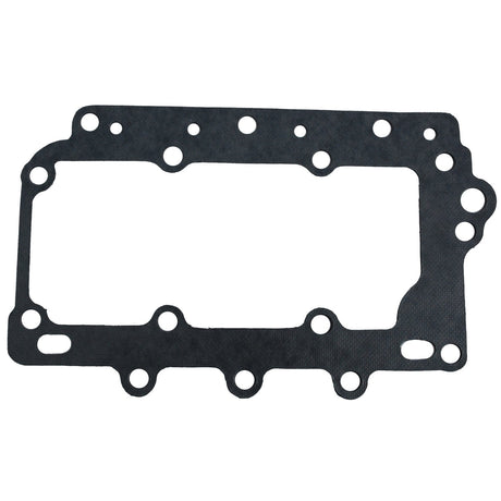 BRP Qualifies for Free Shipping BRP Gasket #316162