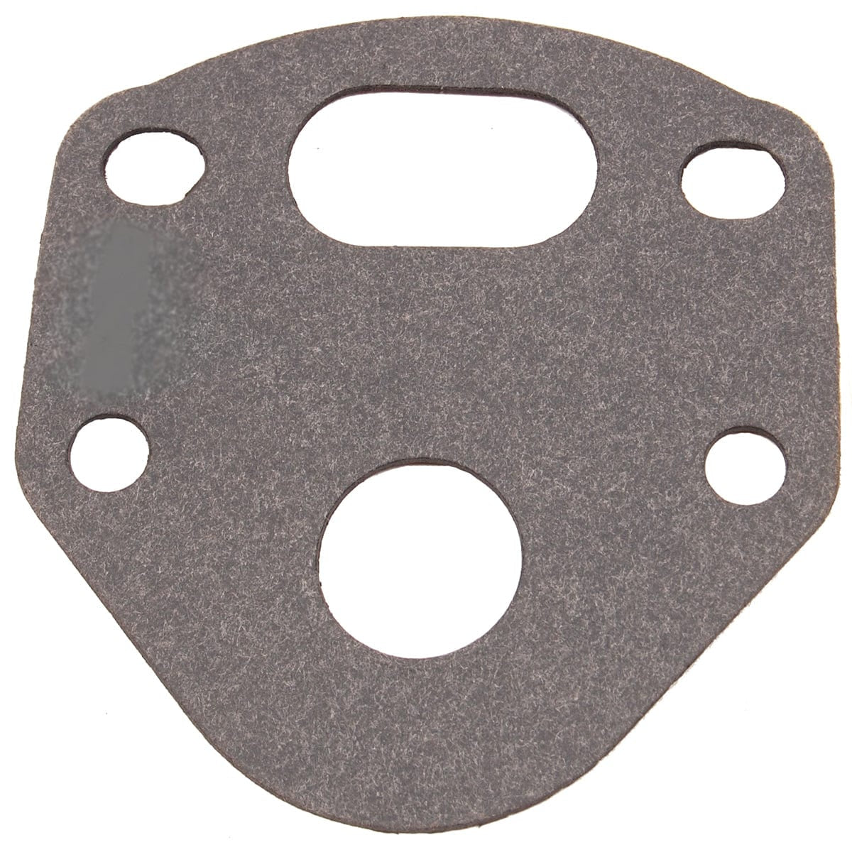 BRP Qualifies for Free Shipping BRP Gasket #316499