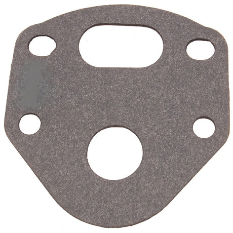 BRP Qualifies for Free Shipping BRP Gasket #316499