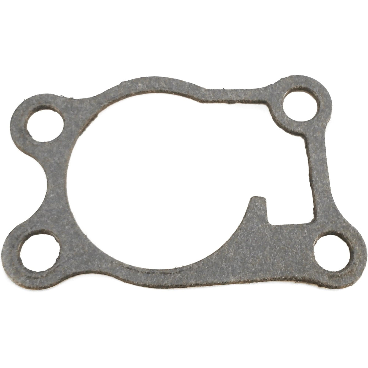 BRP Not Qualified for Free Shipping BRP Gasket #325040