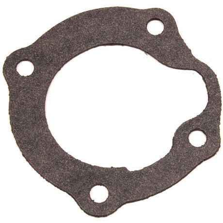 BRP Qualifies for Free Shipping BRP Gasket #329390