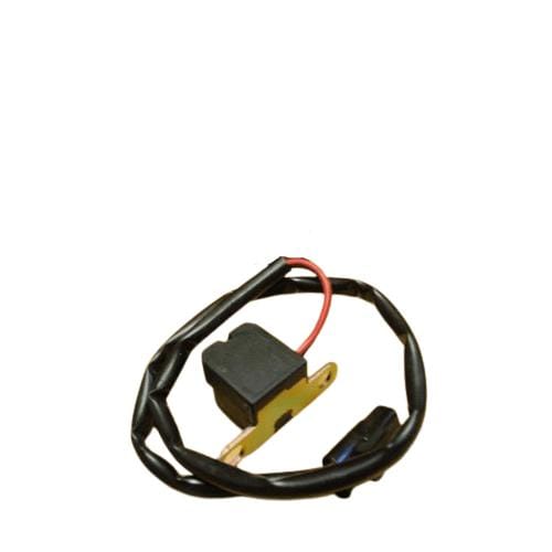 BRP Qualifies for Free Shipping BRP Ignition Coil #5032614