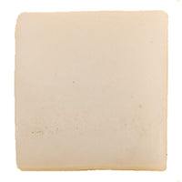 BRP Qualifies for Free Shipping BRP Impeller Key #331107