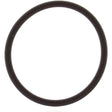 BRP Qualifies for Free Shipping BRP O-Ring #124369
