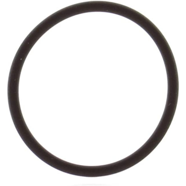 BRP Qualifies for Free Shipping BRP O-Ring #124369