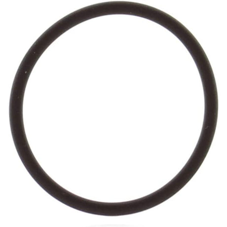 BRP Qualifies for Free Shipping BRP O-Ring #124369
