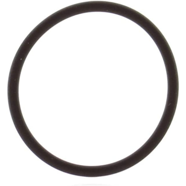 BRP Qualifies for Free Shipping BRP O-Ring #124369