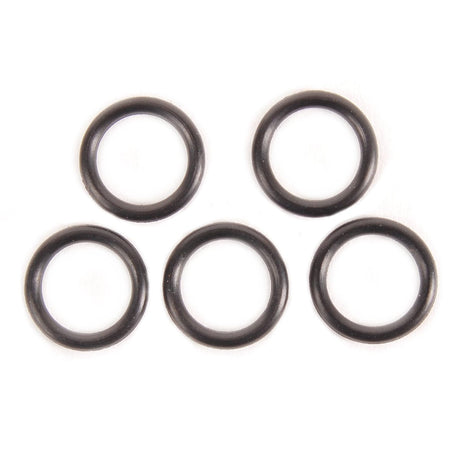 BRP Qualifies for Free Shipping BRP O-Ring #202893