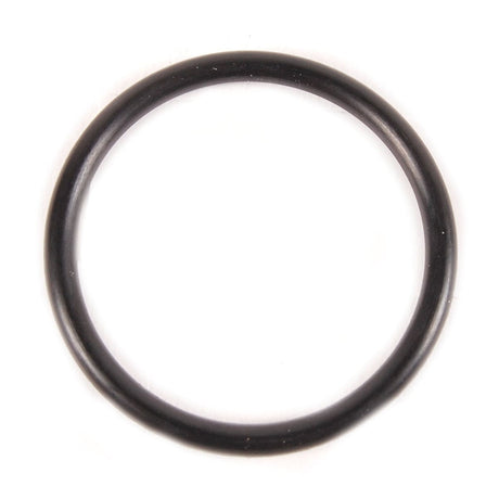 BRP Qualifies for Free Shipping BRP O-Ring #301917