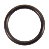 BRP Qualifies for Free Shipping BRP O-Ring #301967