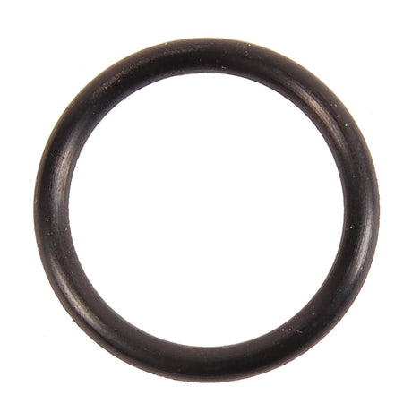 BRP Qualifies for Free Shipping BRP O-Ring #301967