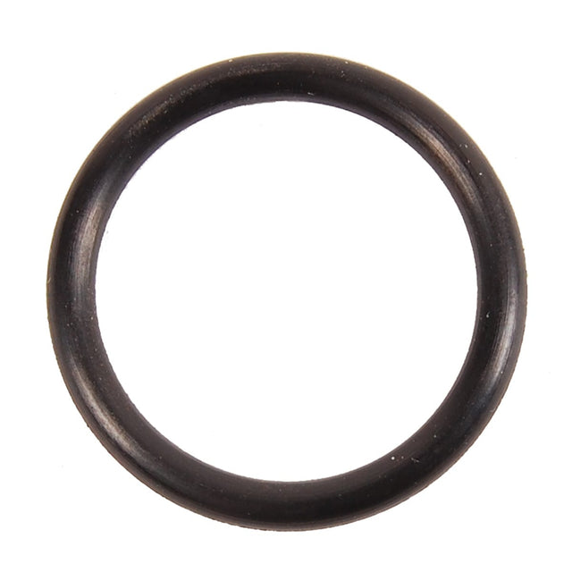 BRP Qualifies for Free Shipping BRP O-Ring #301967