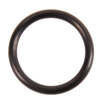 BRP Qualifies for Free Shipping BRP O-Ring #301967