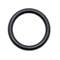 BRP Qualifies for Free Shipping BRP O-Ring #302035