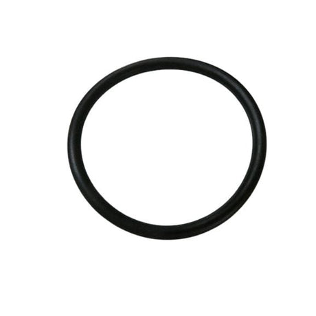 BRP Qualifies for Free Shipping BRP O-Ring #302588