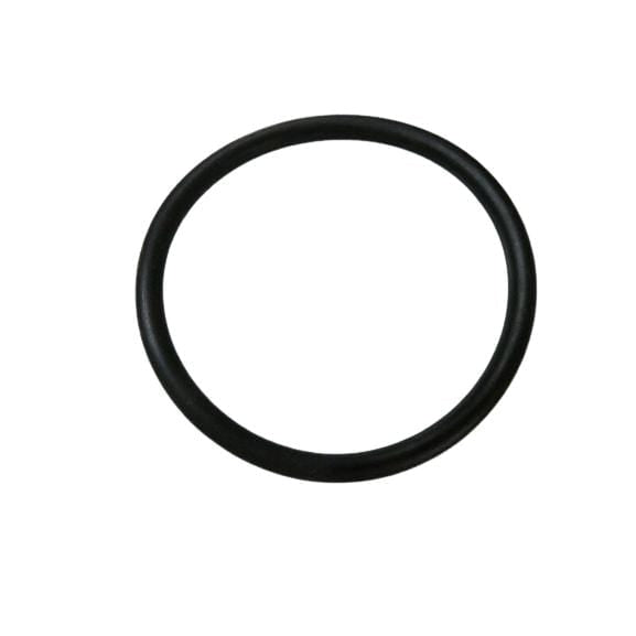 BRP Qualifies for Free Shipping BRP O-Ring #302588