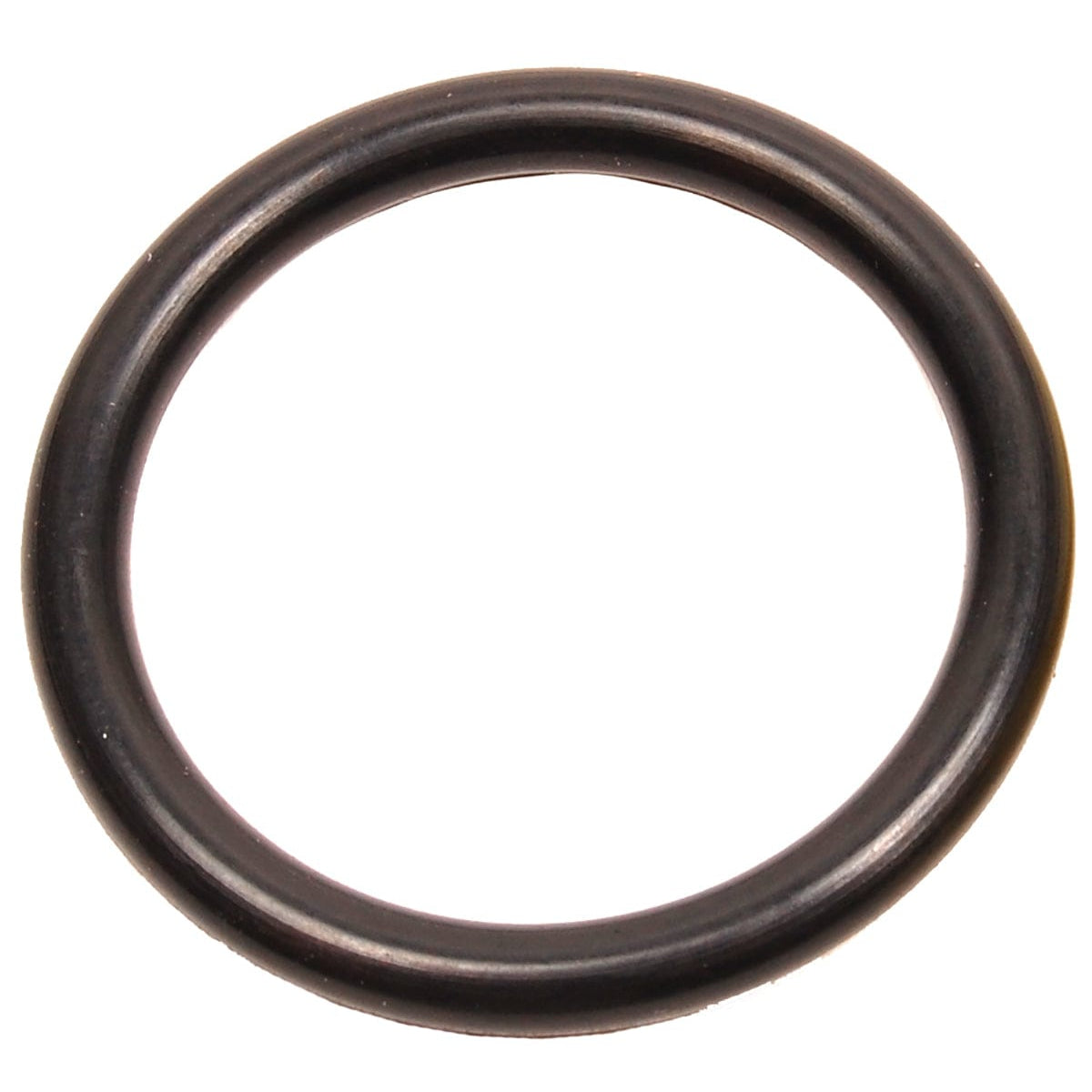 BRP Qualifies for Free Shipping BRP O-Ring #303360