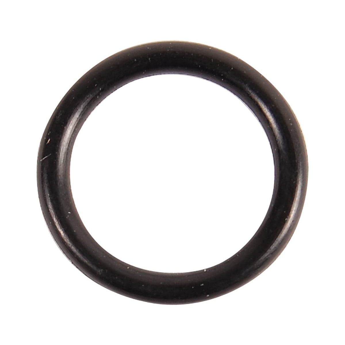 BRP Qualifies for Free Shipping BRP O-Ring #307450