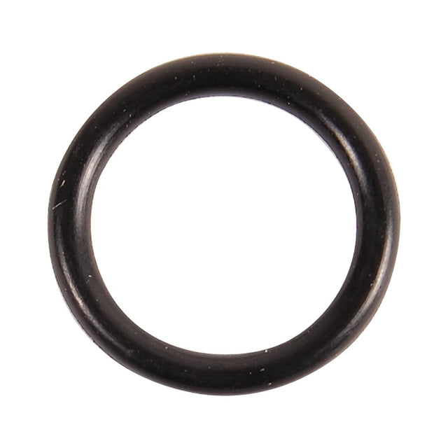 BRP Qualifies for Free Shipping BRP O-Ring #307450