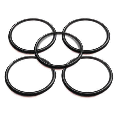 BRP Qualifies for Free Shipping BRP O-Ring #308626