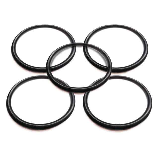 BRP Qualifies for Free Shipping BRP O-Ring #308626