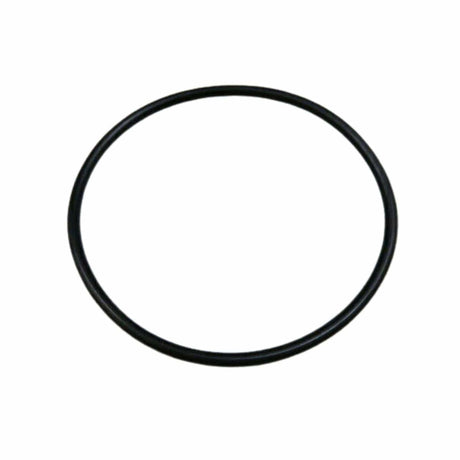 BRP Qualifies for Free Shipping BRP O-Ring #308876