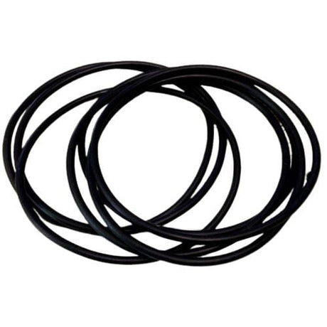 BRP Not Qualified for Free Shipping BRP O-Ring #313446