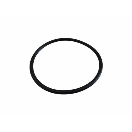 BRP Qualifies for Free Shipping BRP O-Ring #313754