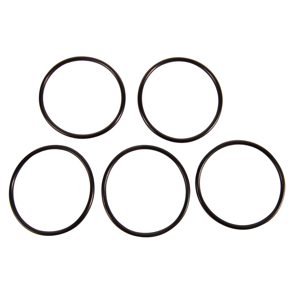 BRP Qualifies for Free Shipping BRP O-Ring #319662