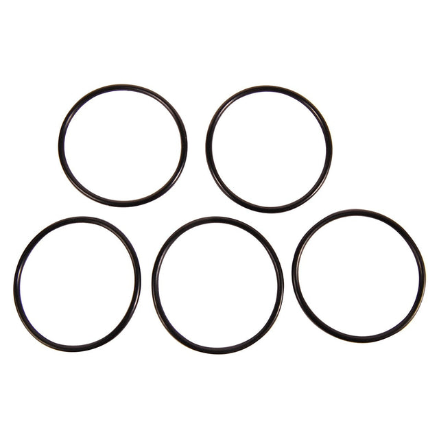 BRP Qualifies for Free Shipping BRP O-Ring #319662