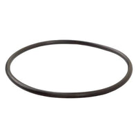 BRP Not Qualified for Free Shipping BRP O-Ring #322494