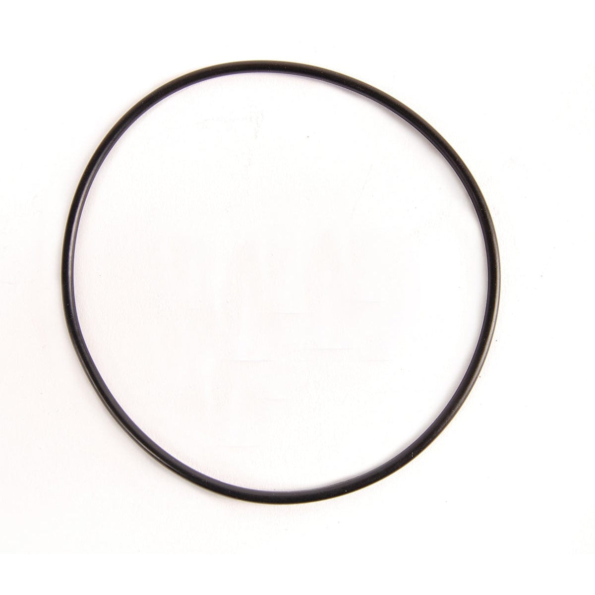 BRP Qualifies for Free Shipping BRP O-Ring #326741