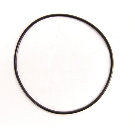 BRP Qualifies for Free Shipping BRP O-Ring #326741