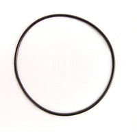 BRP Qualifies for Free Shipping BRP O-Ring #326741