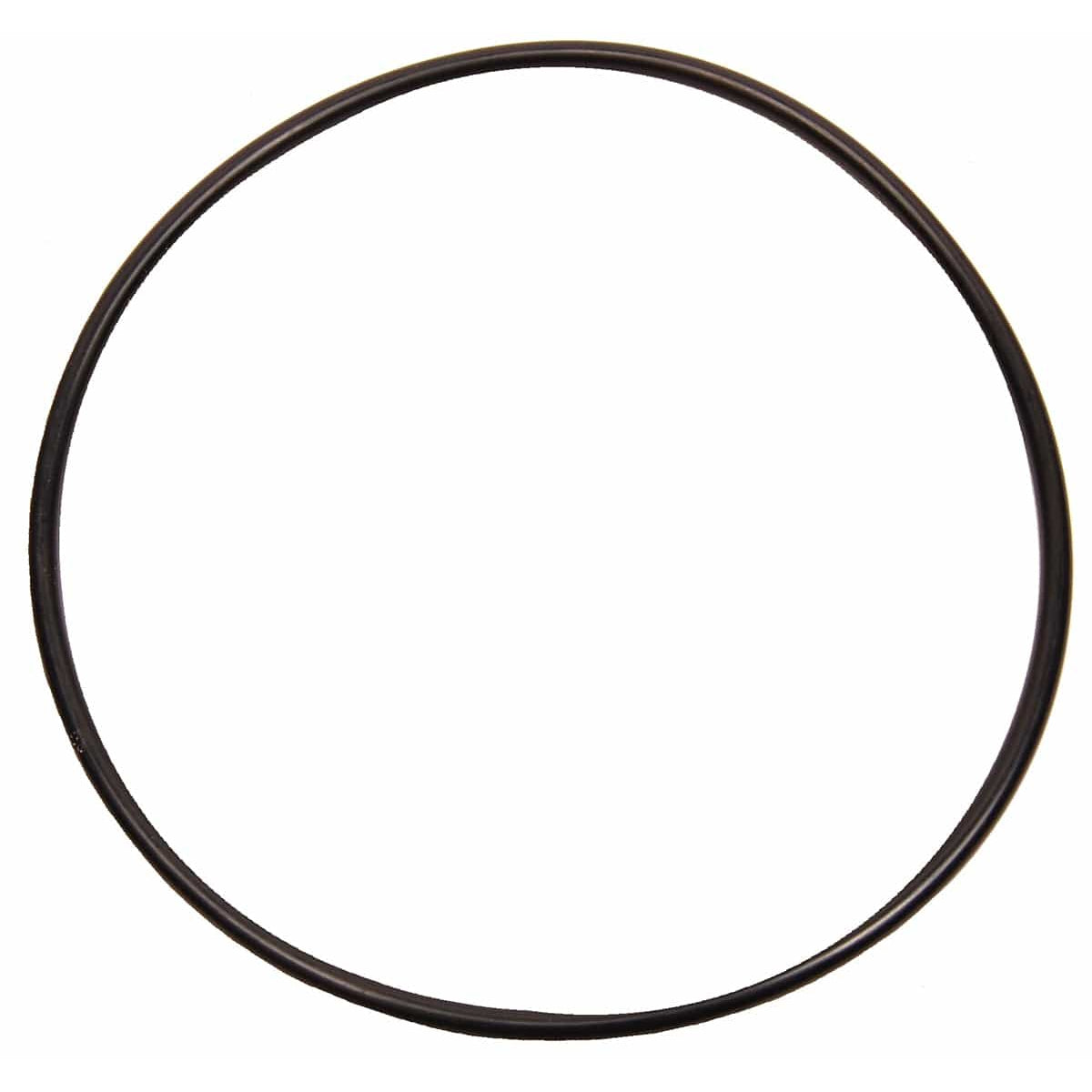 BRP Qualifies for Free Shipping BRP O-Ring #326849