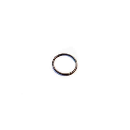 BRP Qualifies for Free Shipping BRP O-Ring #339676