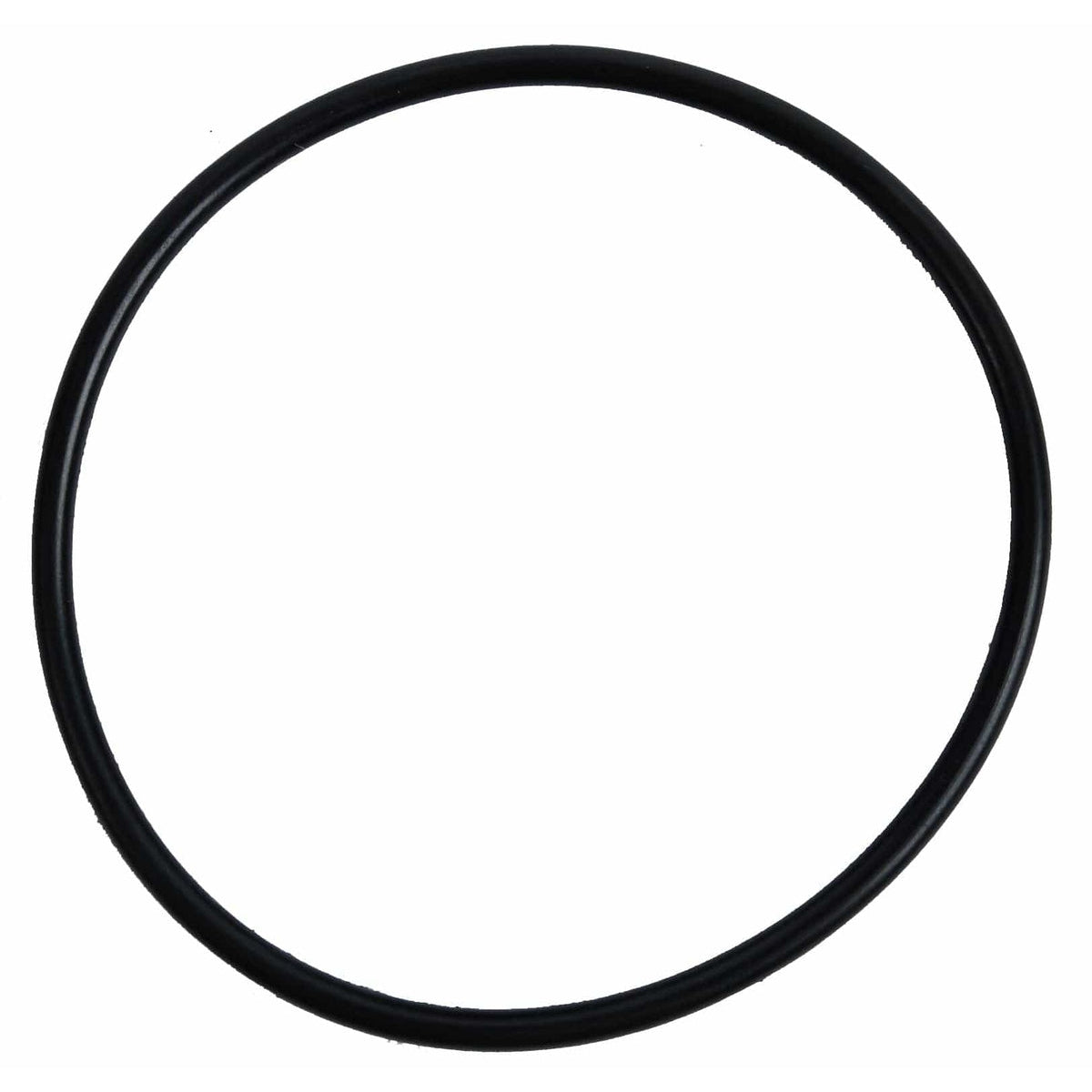 BRP Qualifies for Free Shipping BRP O-Ring #5033009